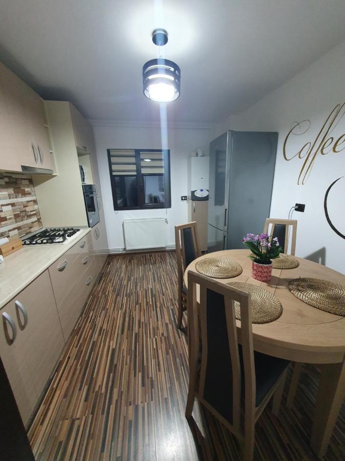 Apartament Exclusive Targu Ocna 外观 照片